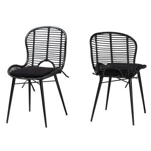 Brenna Modern Bohemian Black Finished Rattan and Metal 2-Piece Dining Chair Set