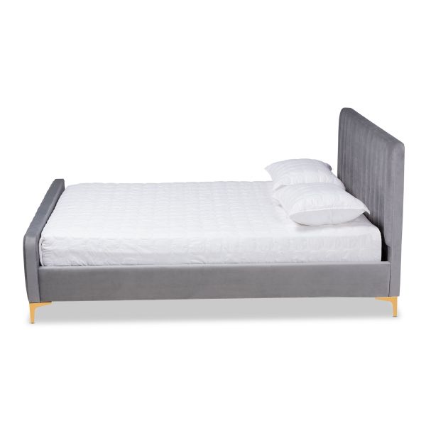 Nami Modern Contemporary Glam and Luxe Light Grey Velvet Fabric Upholstered and Gold Finished Queen Size Platform Bed