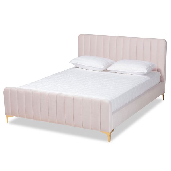 Nami Modern Contemporary Glam and Luxe Light Pink Velvet Fabric Upholstered and Gold Finished Queen Size Platform Bed