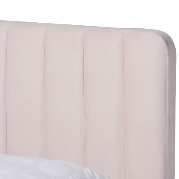 Nami Modern Contemporary Glam and Luxe Light Pink Velvet Fabric Upholstered and Gold Finished Queen Size Platform Bed