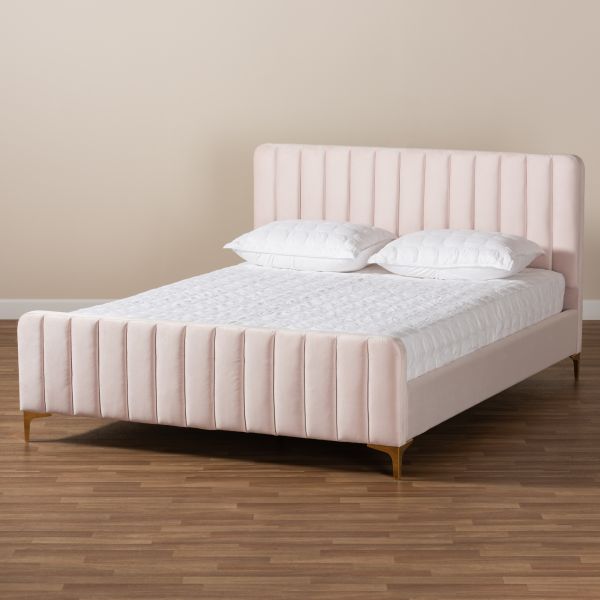 Nami Modern Contemporary Glam and Luxe Light Pink Velvet Fabric Upholstered and Gold Finished Queen Size Platform Bed