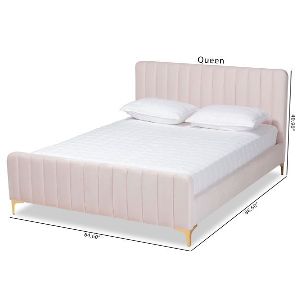 Nami Modern Contemporary Glam and Luxe Light Pink Velvet Fabric Upholstered and Gold Finished Queen Size Platform Bed