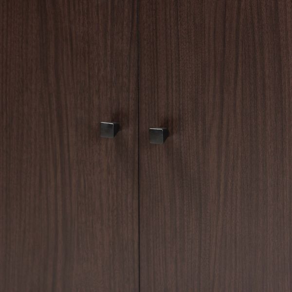 Rossin Modern and Contemporary Dark Brown Finished Wood 2-Door Entryway Shoe Storage Cabinet with Bottom Shelf