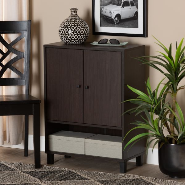 Rossin Modern and Contemporary Dark Brown Finished Wood 2-Door Entryway Shoe Storage Cabinet with Bottom Shelf