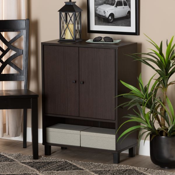 Rossin Modern and Contemporary Dark Brown Finished Wood 2-Door Entryway Shoe Storage Cabinet with Bottom Shelf